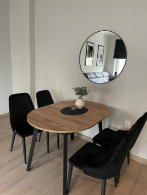 Central Apartment - przy Deptaku Boguslawa